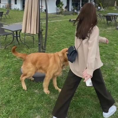 安全没有保障